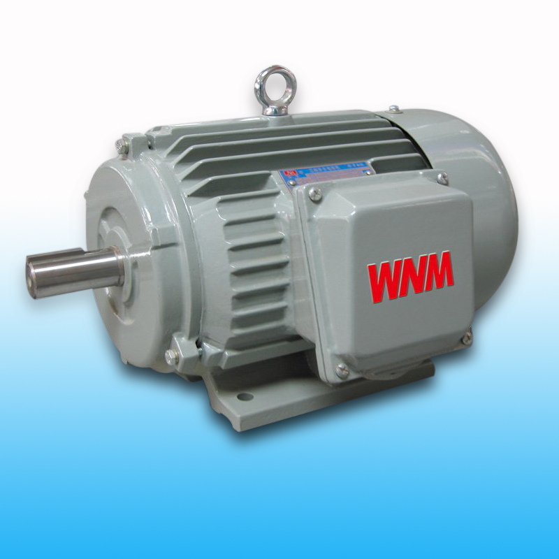 YDT系列風(fēng)機(jī)泵類(lèi)專(zhuān)用變極多速電機(jī)