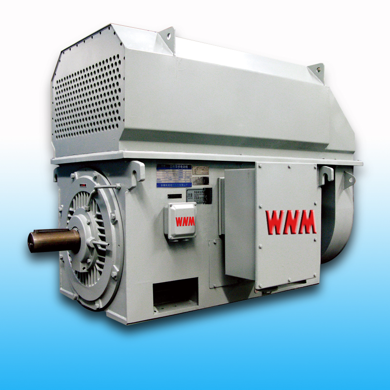 Y、YKS、YKK系列中型電機(jī)（6KV/10KV）